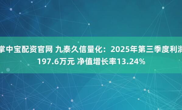 掌中宝配资官网 九泰久信量化：2025年第三季度利润197.6万元 净值增长率13.24%