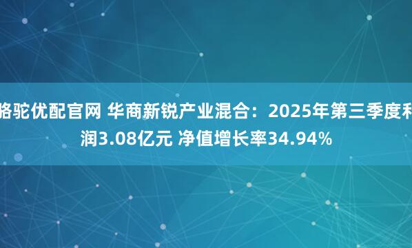 骆驼优配官网 华商新锐产业混合：2025年第三季度利润3.08亿元 净值增长率34.94%