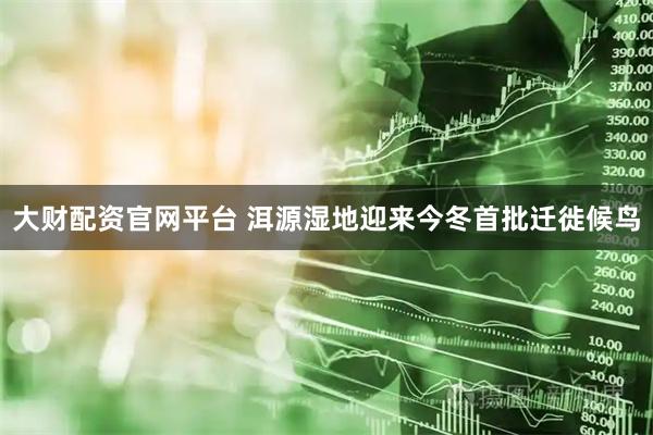 大财配资官网平台 洱源湿地迎来今冬首批迁徙候鸟