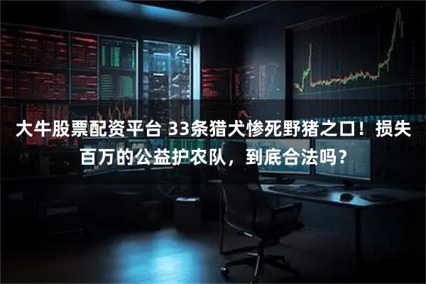 大牛股票配资平台 33条猎犬惨死野猪之口！损失百万的公益护农队，到底合法吗？
