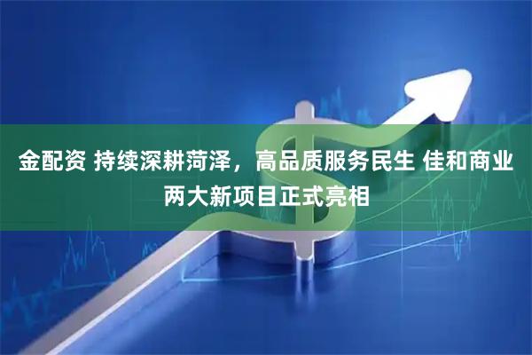 金配资 持续深耕菏泽，高品质服务民生 佳和商业两大新项目正式亮相