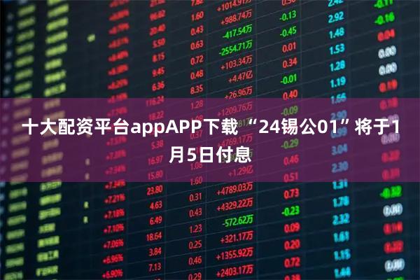 十大配资平台appAPP下载 “24锡公01”将于1月5日付息
