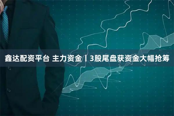 鑫达配资平台 主力资金丨3股尾盘获资金大幅抢筹