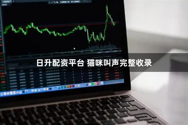 日升配资平台 猫咪叫声完整收录