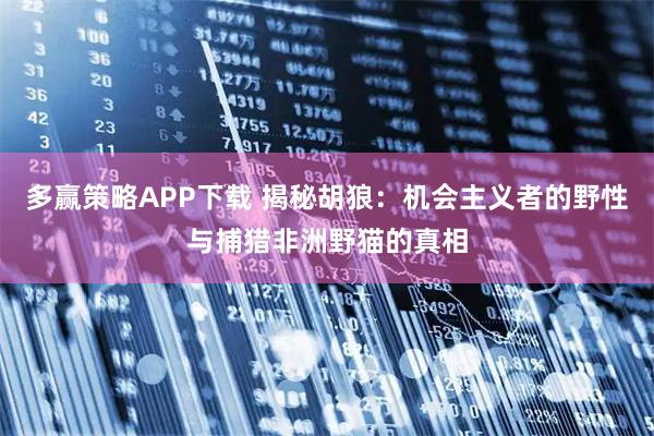 多赢策略APP下载 揭秘胡狼:机会主义者的野性与捕猎非洲野猫的真相