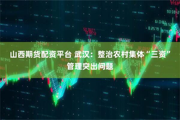 山西期货配资平台 武汉：整治农村集体“三资”管理突出问题