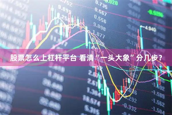 股票怎么上杠杆平台 看清“一头大象”分几步?